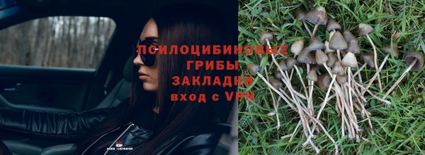 молекула духа Козловка