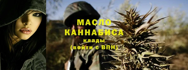 молекула духа Козловка