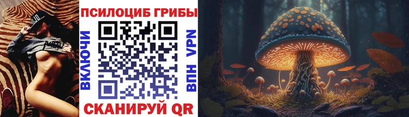 сколько стоит  Находка  Псилоцибиновые грибы MAGIC MUSHROOMS 
